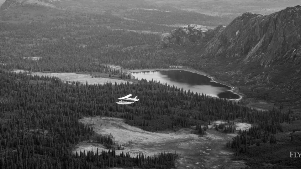Beaver floatplane over wilderness — Royal Coachman Lodge, Nuyakuk River, Bristol Bay, Alaska