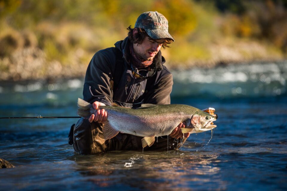 Rainbow trout at Arroyo Verde Lodge, northern Patagonia, Argentina. 2028 Patagonia brown trout Argentina copy for BVL