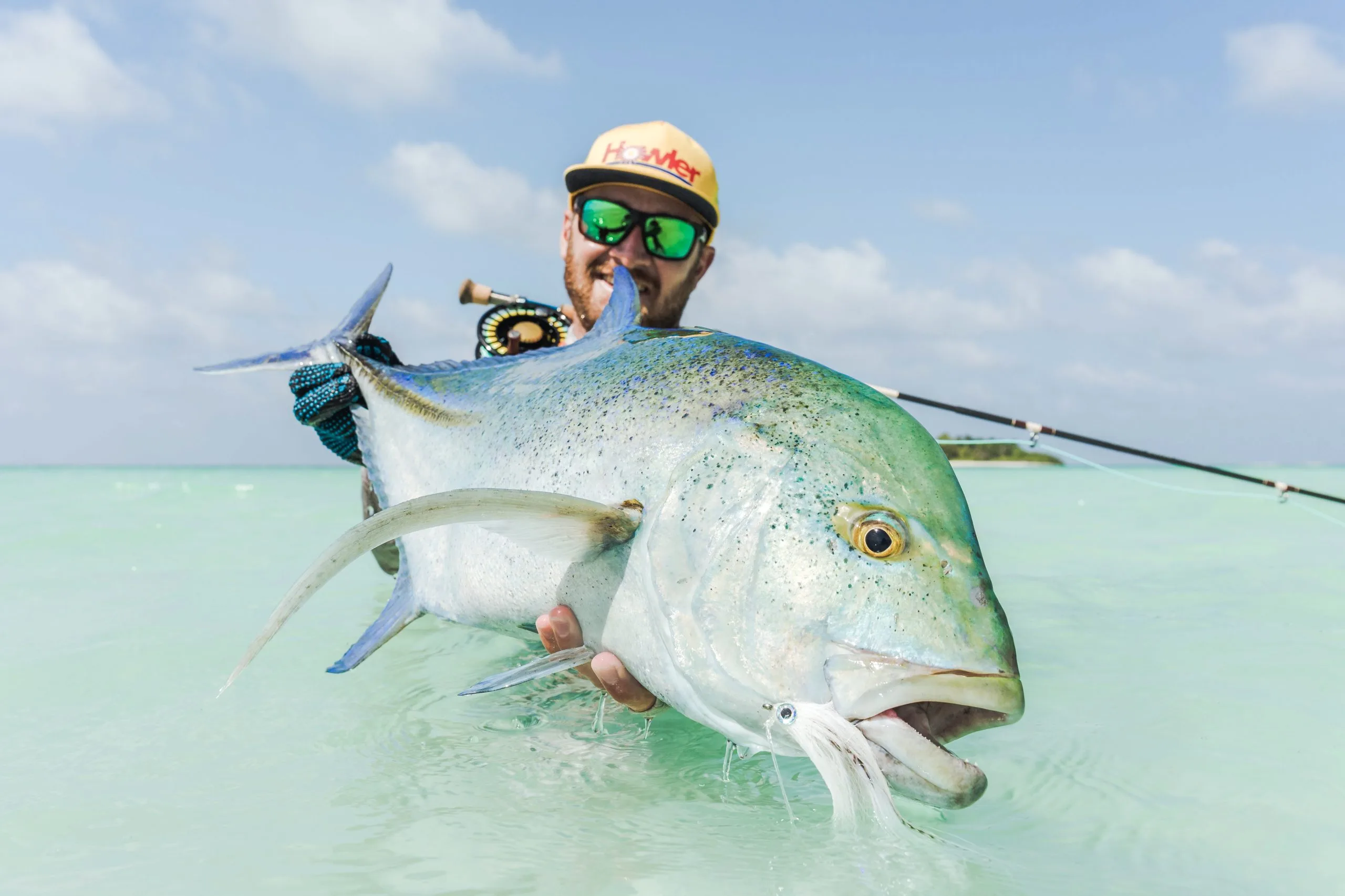 Bluefin trevally — Alphonse Island, Seychelles