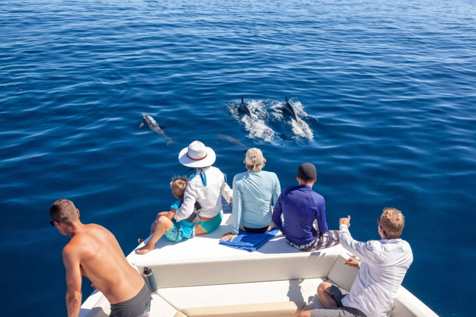 Dolphin watching from the boat — Alphonse Island, Seychelles