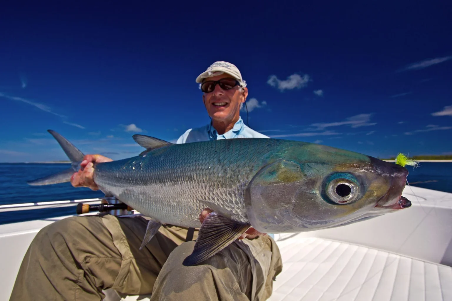 Milkfish — Alphonse Island, Seychelles