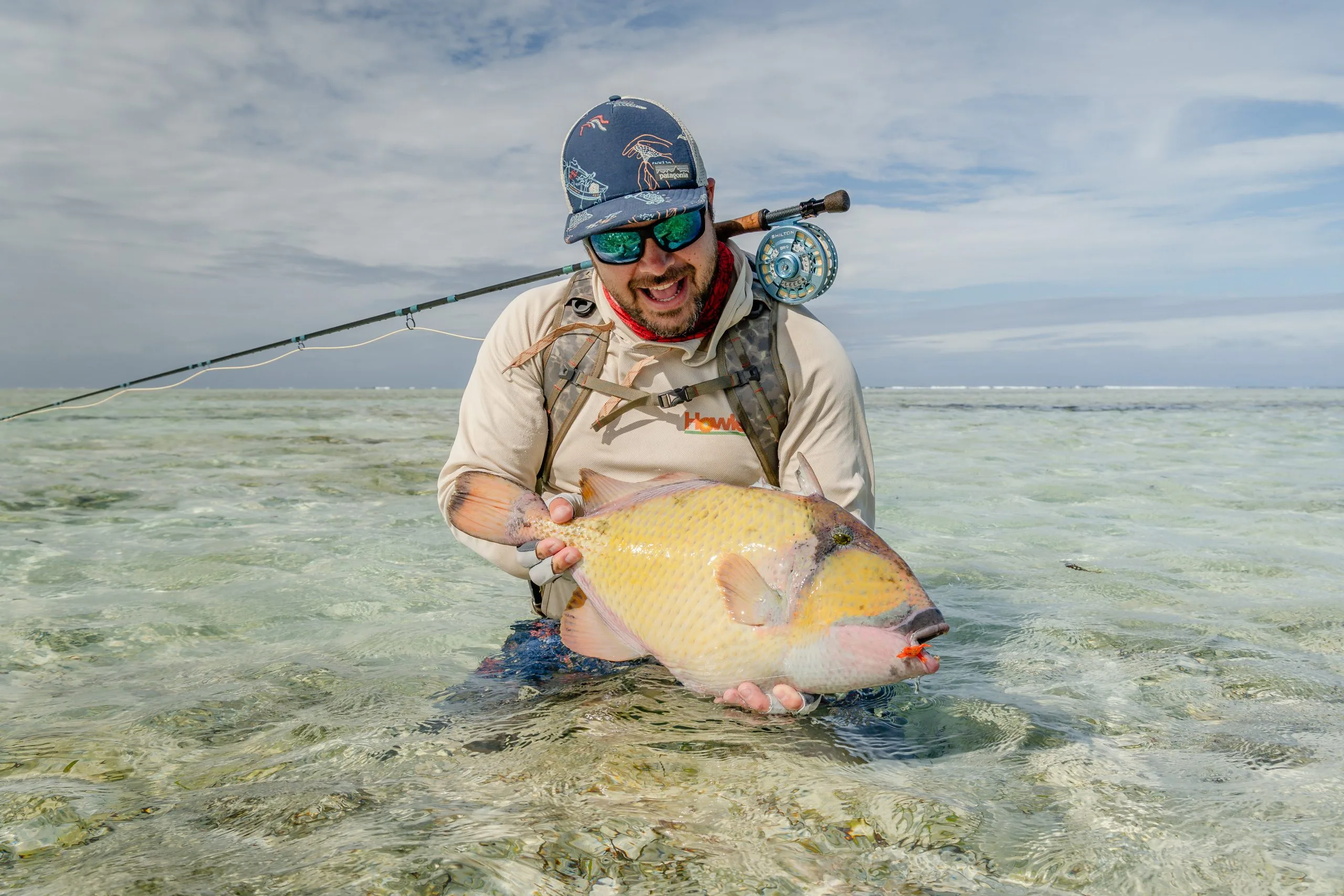 Moustache triggerfish — Alphonse Island, Seychelles