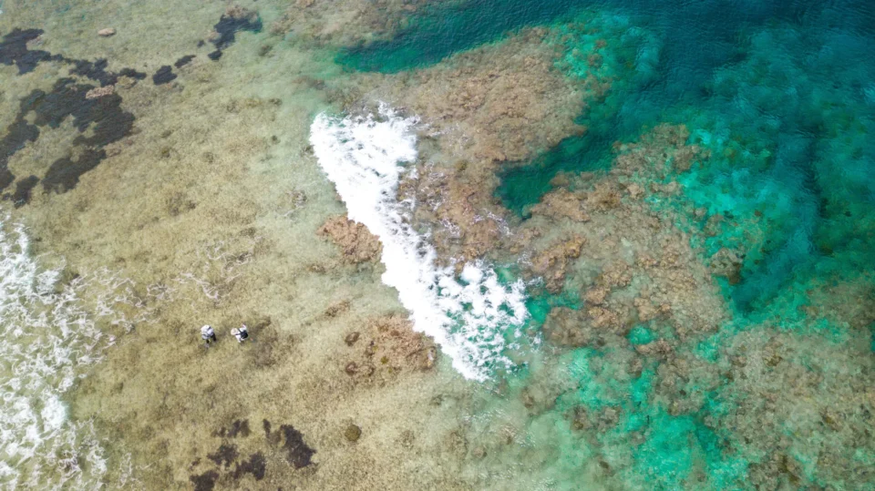 Aerial of the reef edge and breaking surf — Astove Atoll, Seychelles