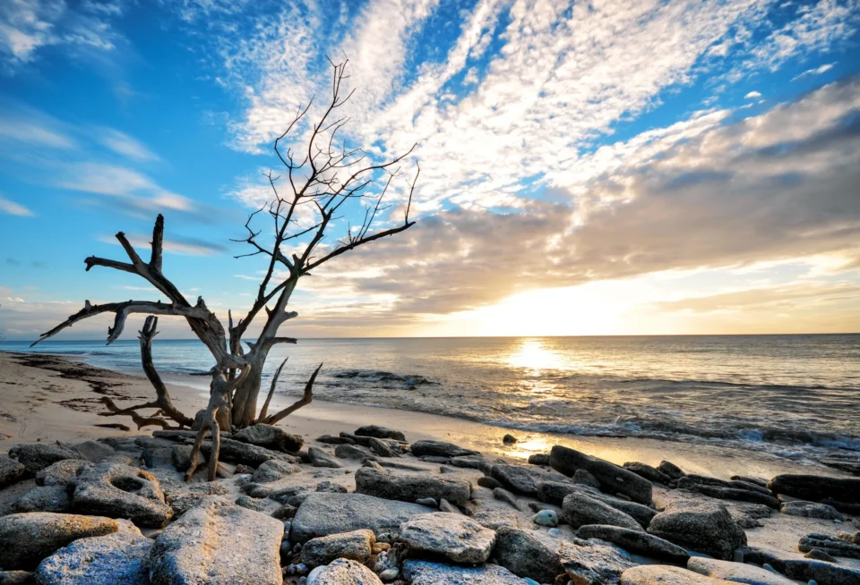 Sunrise over the rocky shoreline — Astove Atoll, Seychelles