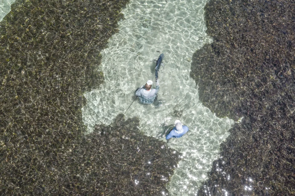 Aerial of two anglers wading the flats — Farquhar Atoll, Seychelles