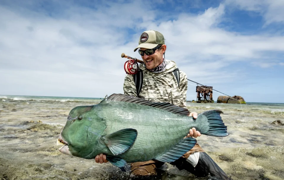 Angler with a bumphead parrotfish — Farquhar Atoll, Seychelles