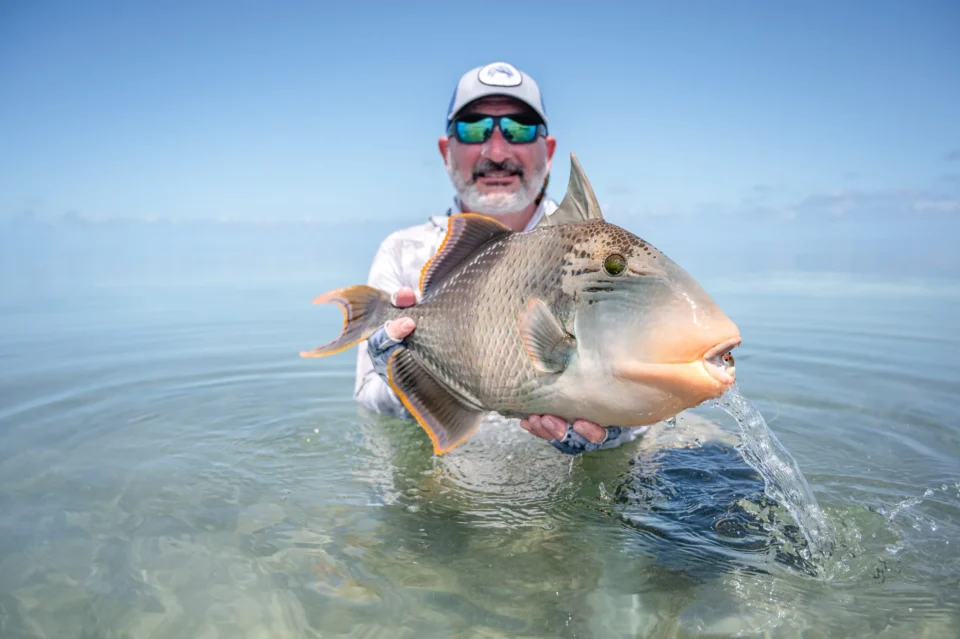 Angler with a yellowmargin triggerfish — Farquhar Atoll, Seychelles