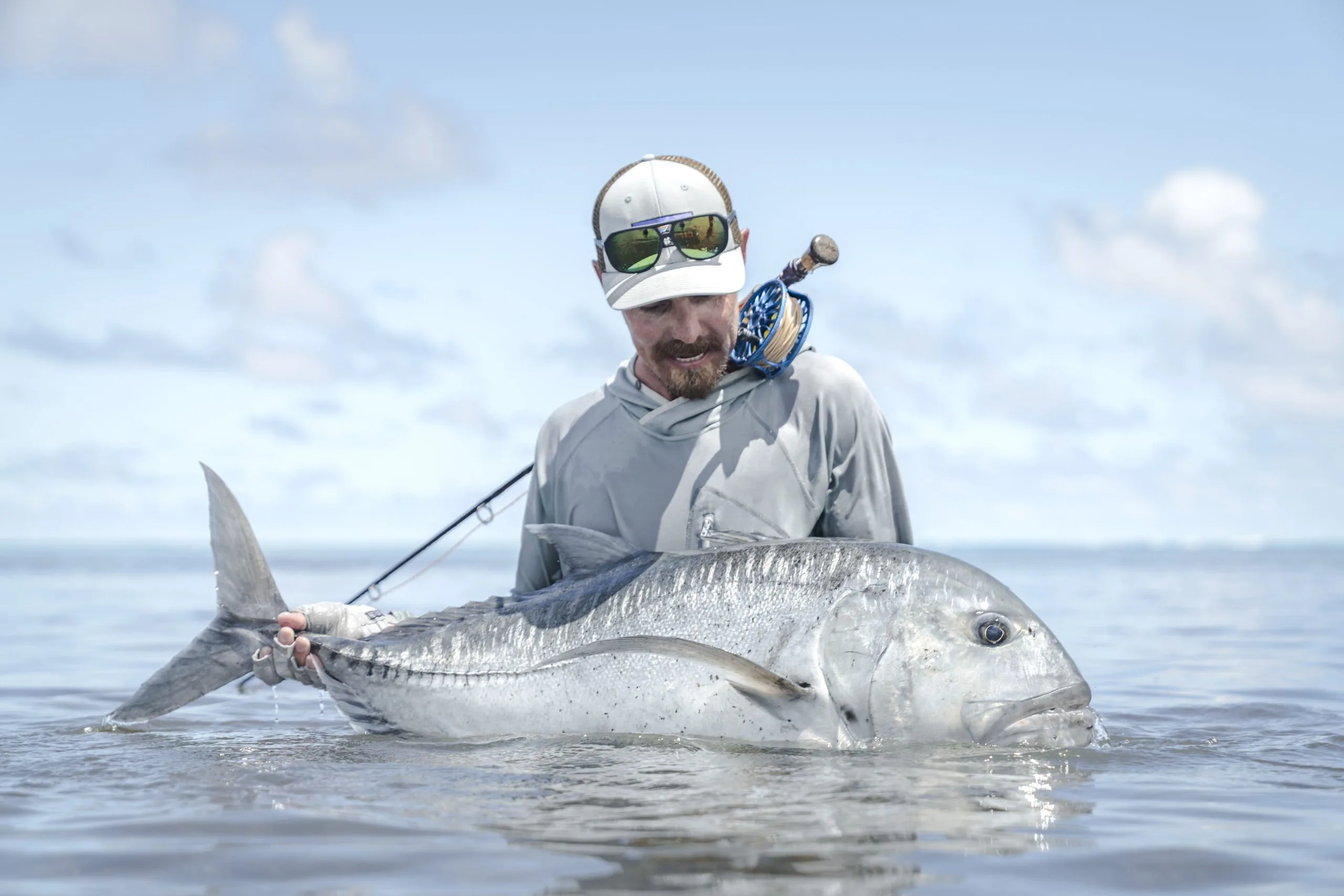 Giant trevally — Farquhar Atoll, Seychelles
