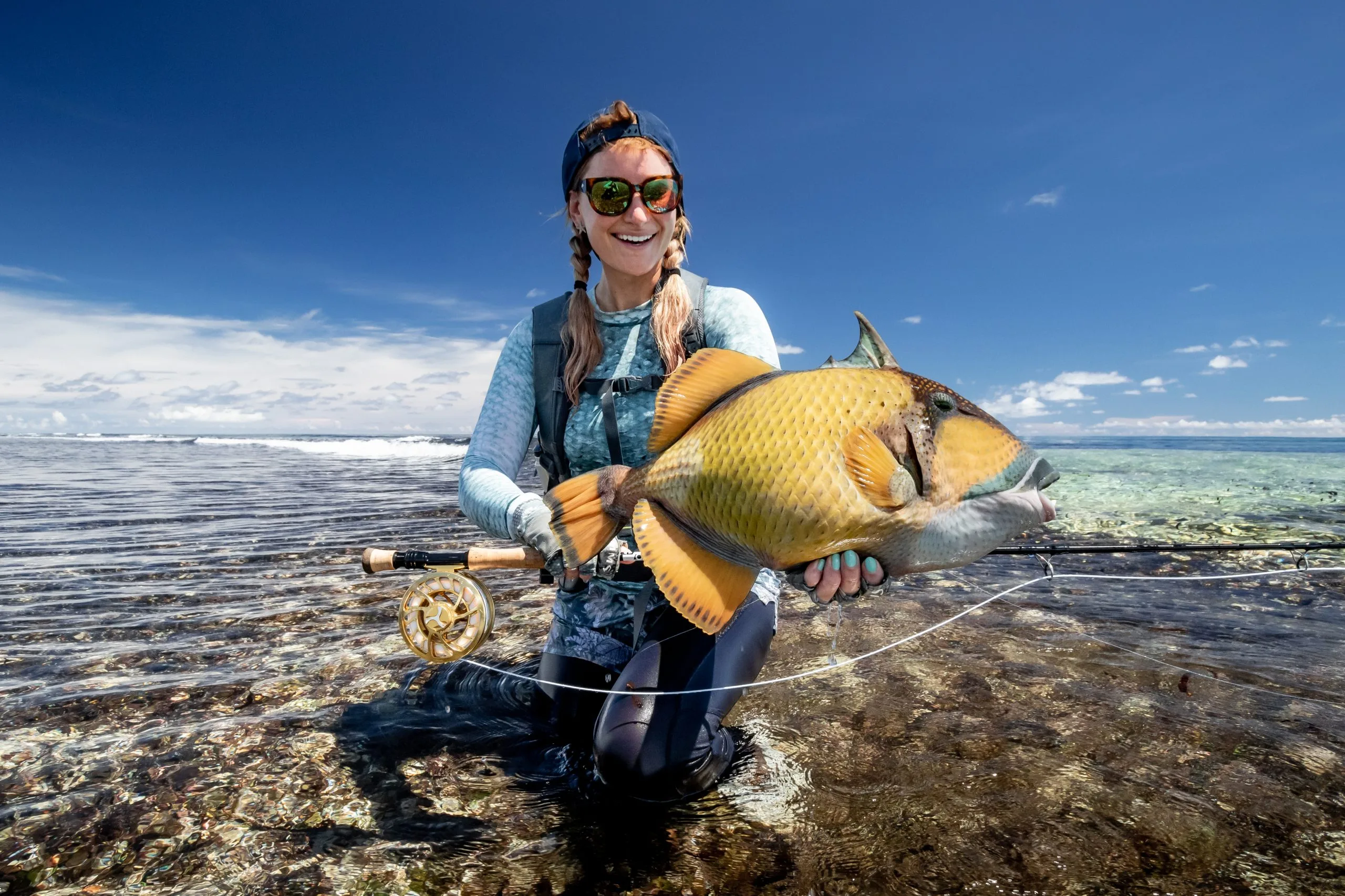 Moustache triggerfish — Farquhar Atoll, Seychelles