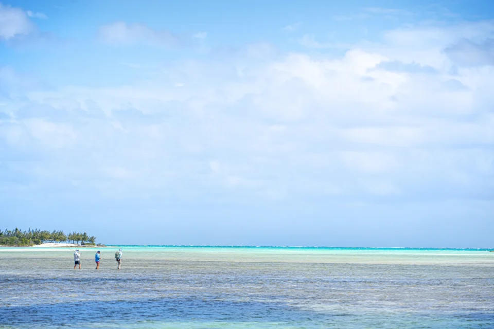Anglers wading bonefish flats at Mangrove Cay Club, Andros, Bahamas