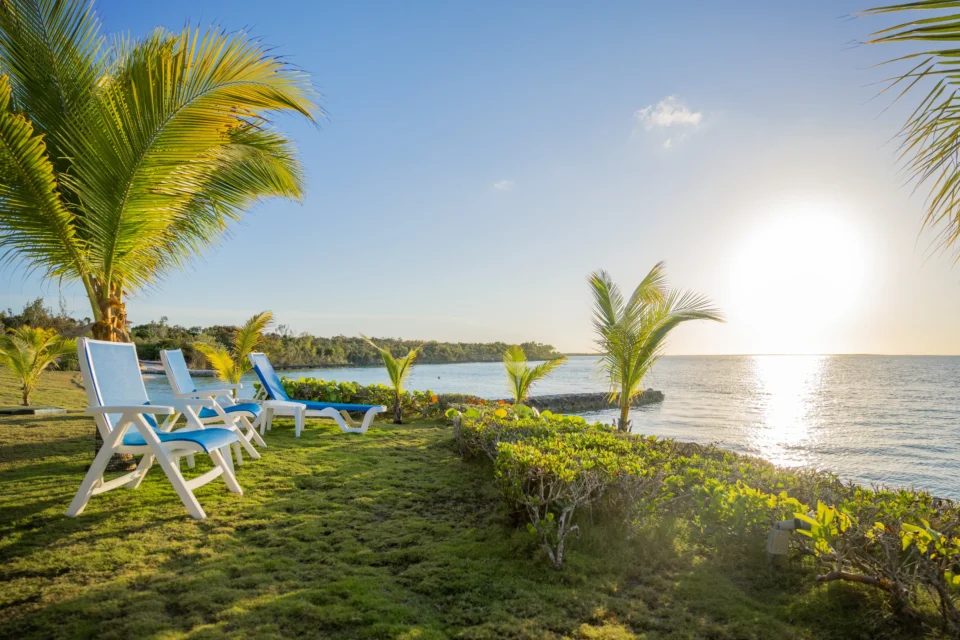 Waterfront lawn, palms, and lounge chairs at Mangrove Cay Club, Andros, Bahamas