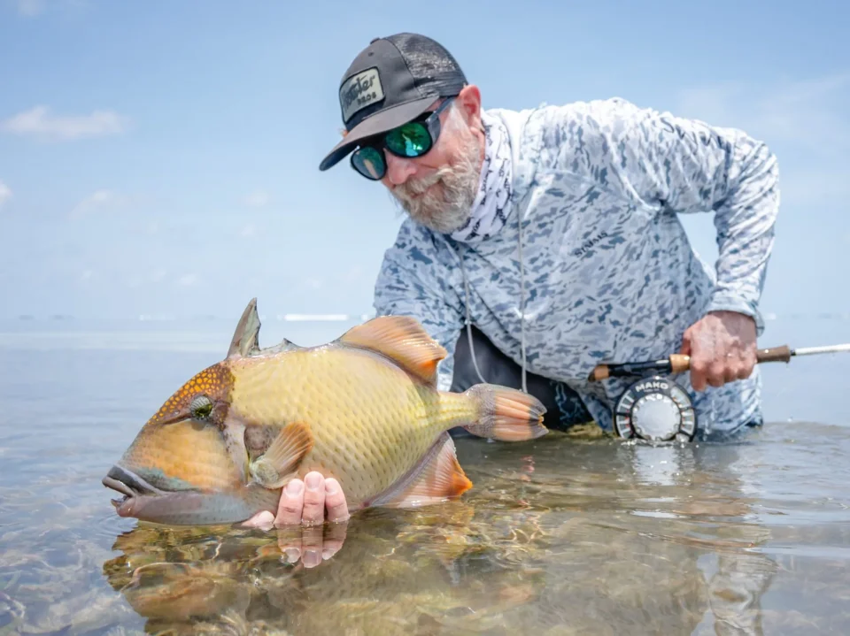 Angler with a moustache triggerfish — Providence Atoll, Seychelles