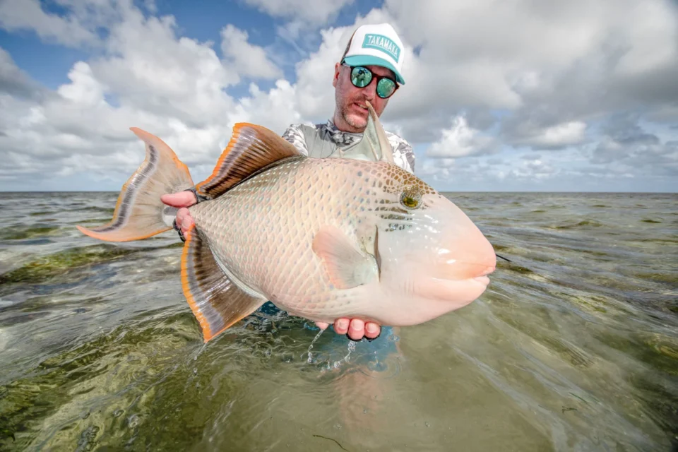 Angler with a yellowmargin triggerfish — Providence Atoll, Seychelles