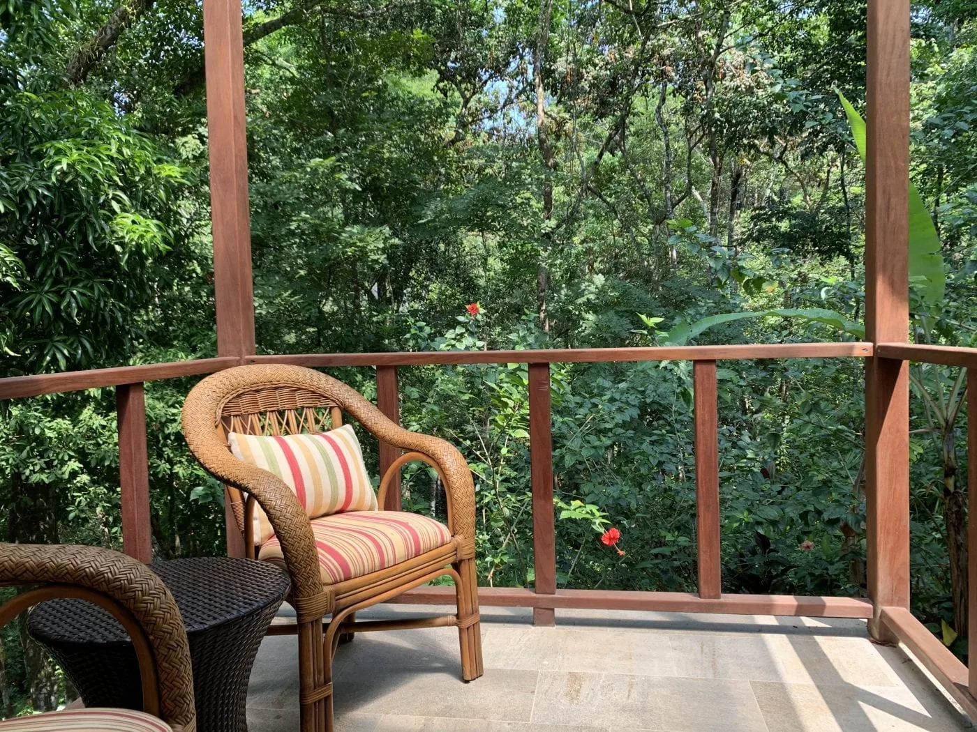 Balcony looking into the jungle at Tropic Star Lodge, Piñas Bay, Panama