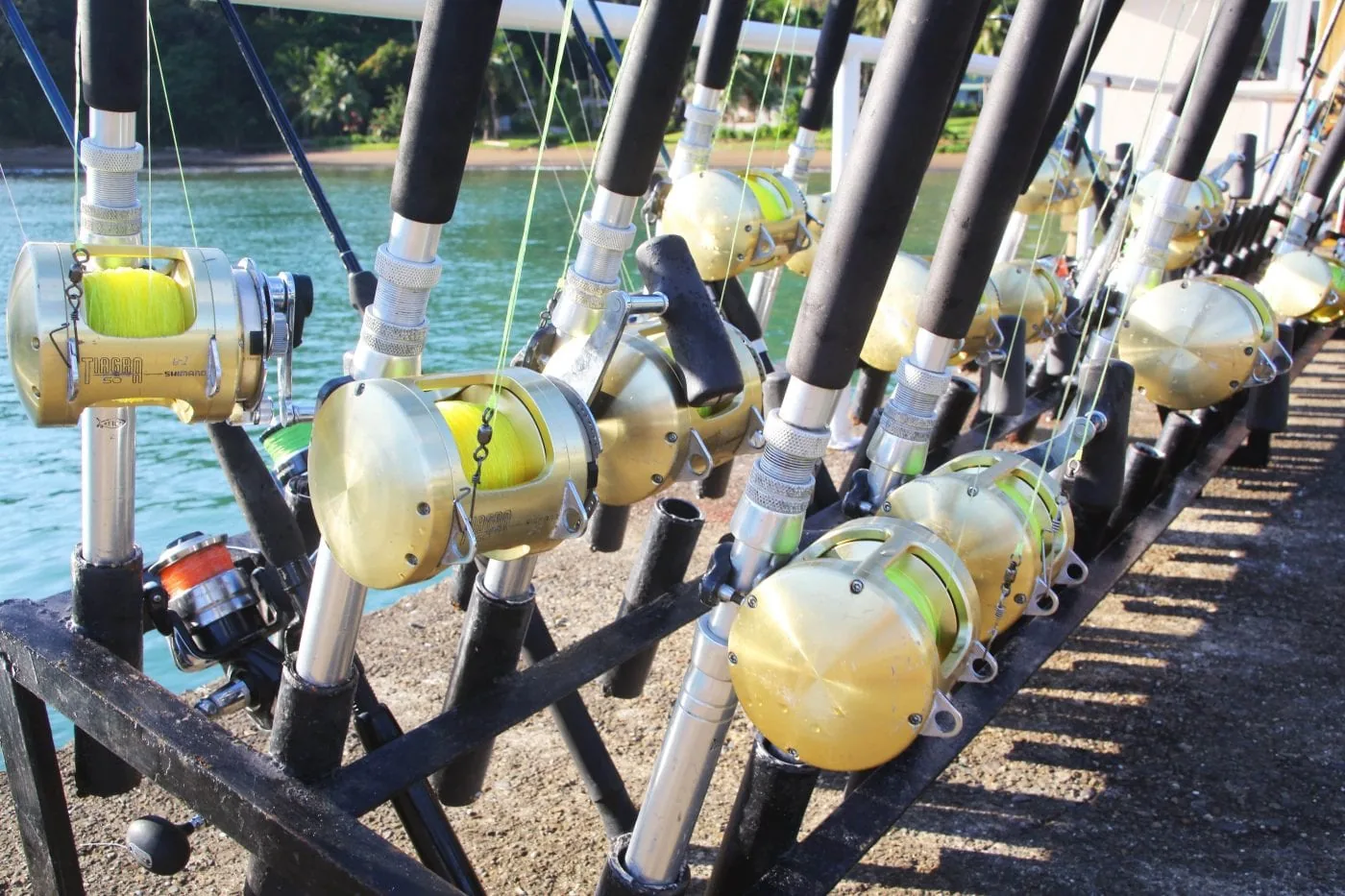 Big-game rods and reels on the dock at Tropic Star Lodge, Panama