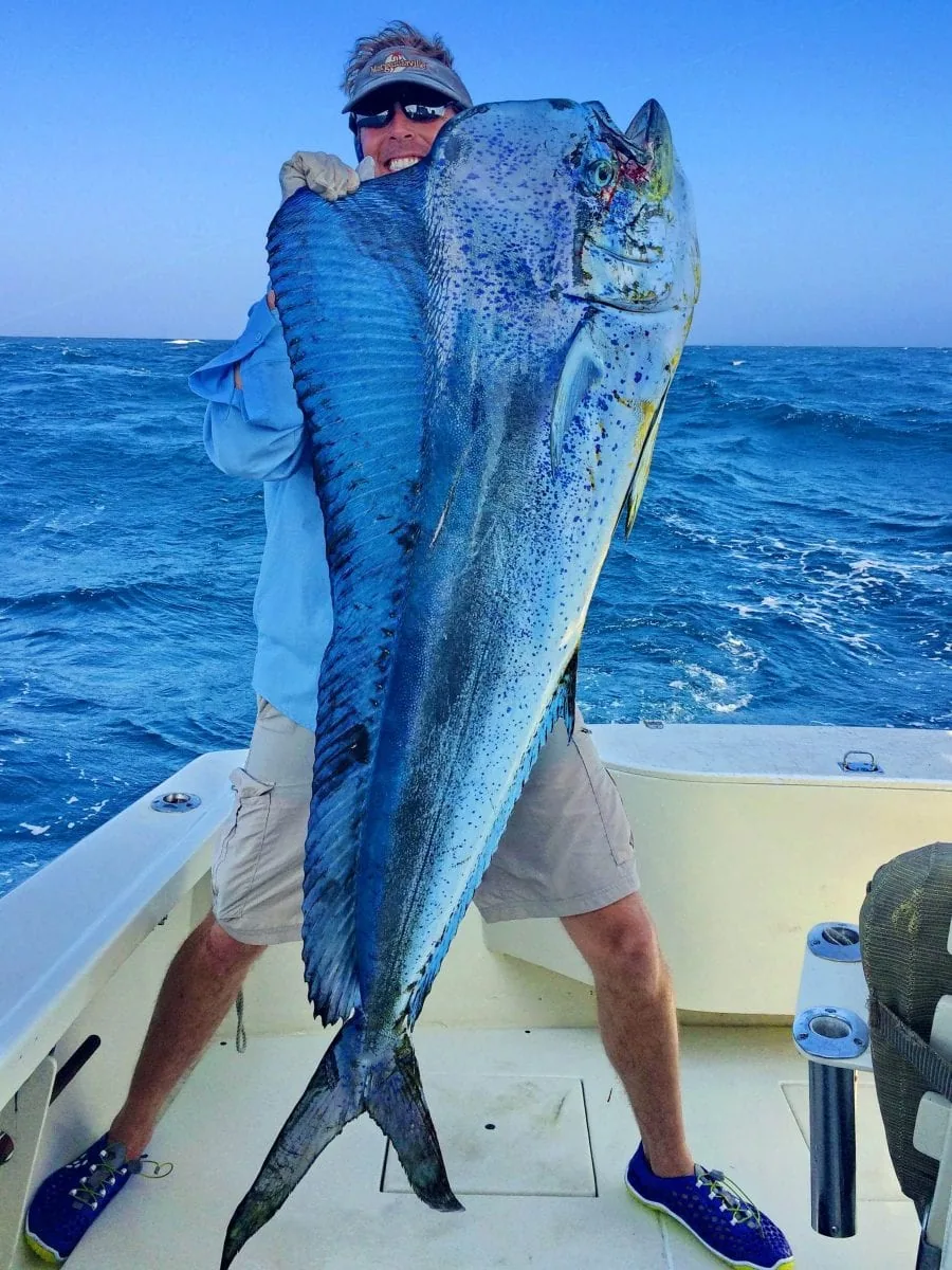 Angler with a bull dorado (mahi-mahi) at Tropic Star Lodge, Panama