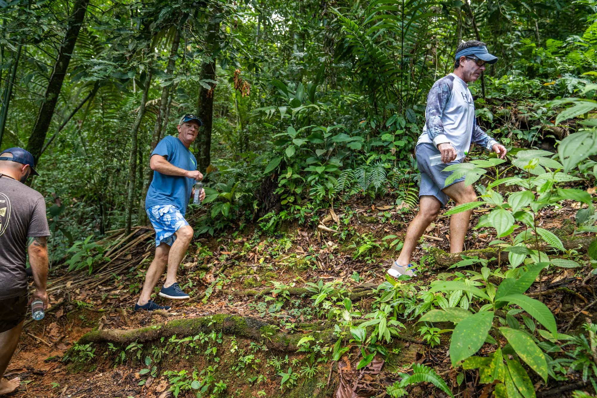 Guests hiking a jungle trail near Tropic Star Lodge, Darién, Panama
