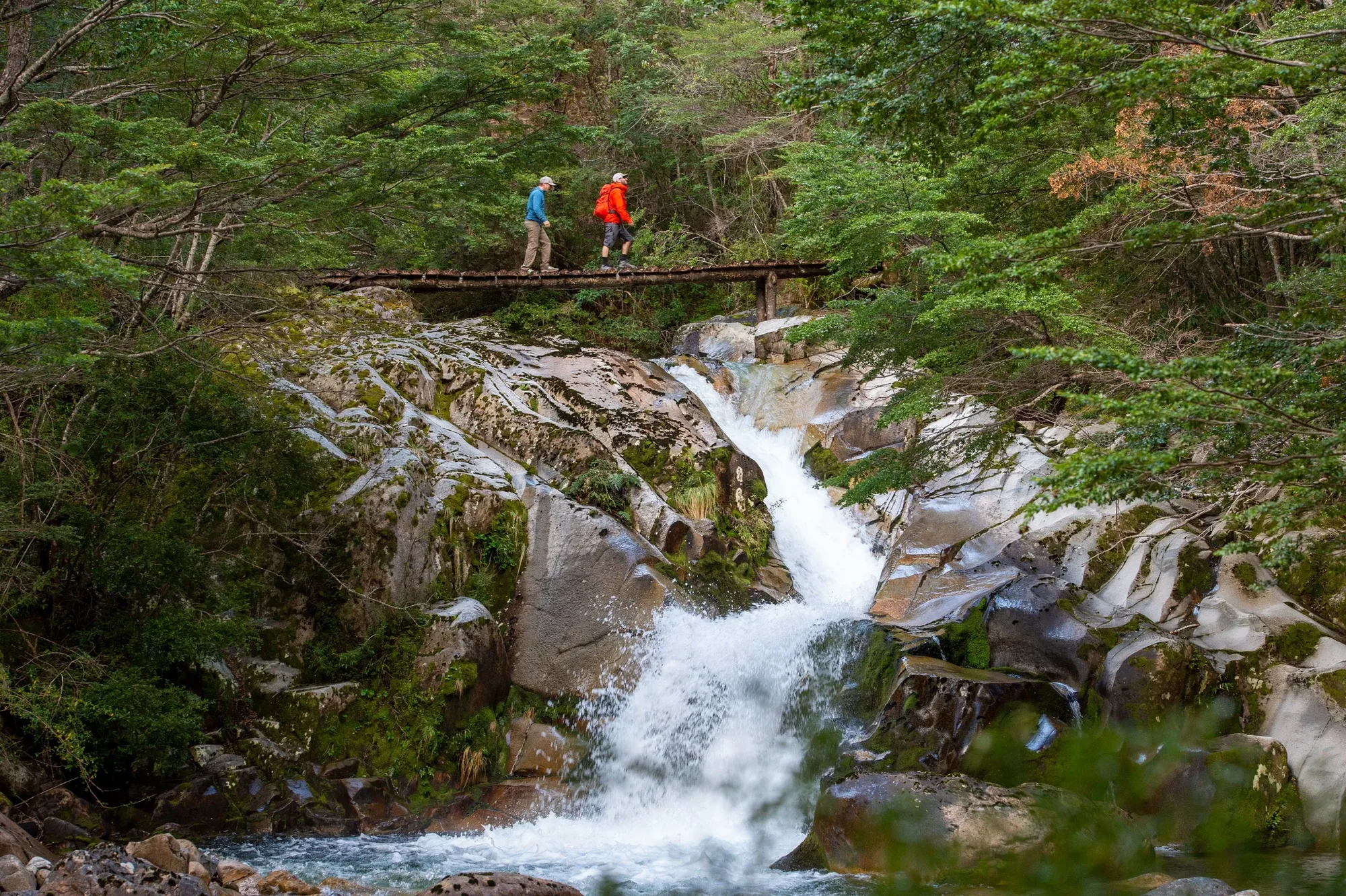 Hikers crossing a footbridge above a waterfall in the rainforest near Eleven Rio Palena Lodge, Chile