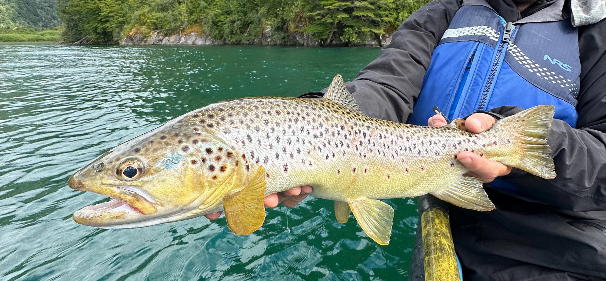 Brown trout held over turquoise water at Eleven Martín Pescador, Chile