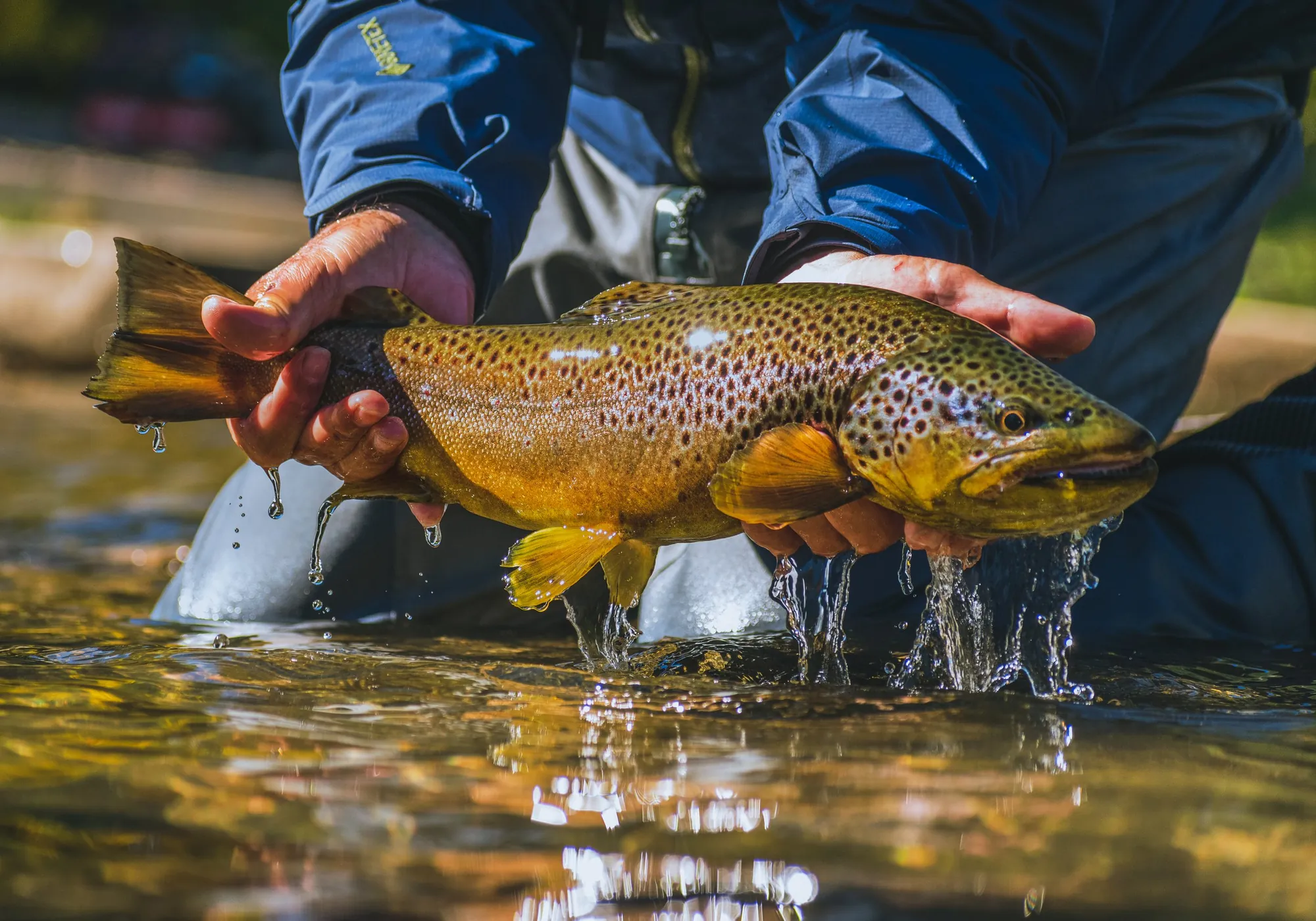 Classic Waters program at Cinco Rios Lodge near Coyhaique